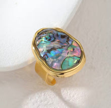 Load image into Gallery viewer, Big Abalone Shell Rig
