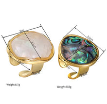 Load image into Gallery viewer, Big Abalone Shell Rig