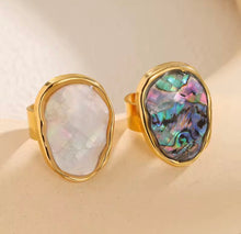 Load image into Gallery viewer, Big Abalone Shell Rig