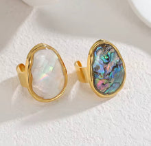 Load image into Gallery viewer, Big Abalone Shell Rig