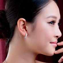 Load image into Gallery viewer, Round Zircon Hoops