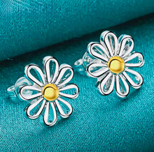 Load image into Gallery viewer, Hollow Flower Stud Earrings
