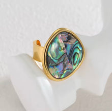 Load image into Gallery viewer, Big Abalone Shell Rig
