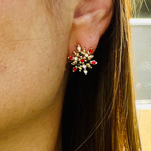 Multi-color Star & Rudolph Earrings